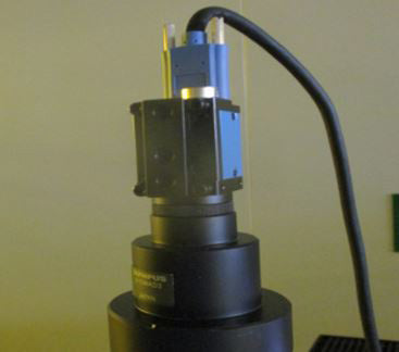Olympus MX 50 A F Microscope