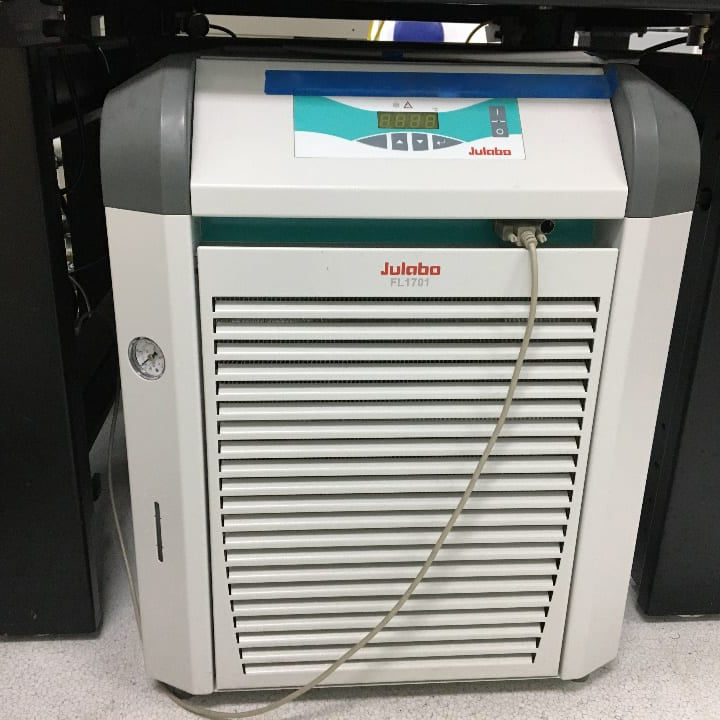 Quantum Focus Three Head System