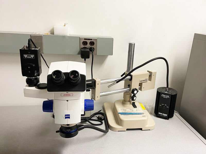 Zeiss Discovery V 8 Stereo