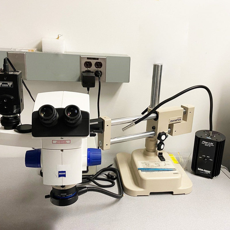 Zeiss Discovery V 8 Stereo