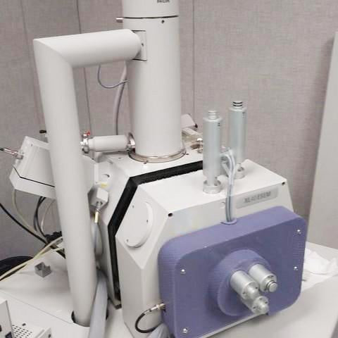 Thermo Fisher Scientific / FEI XL 40 E-SEM (Environmental Scanning Electron Microscope)