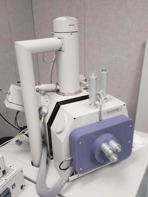 Thermo Fisher Scientific / FEI XL 40 E-SEM (Environmental Scanning Electron Microscope)