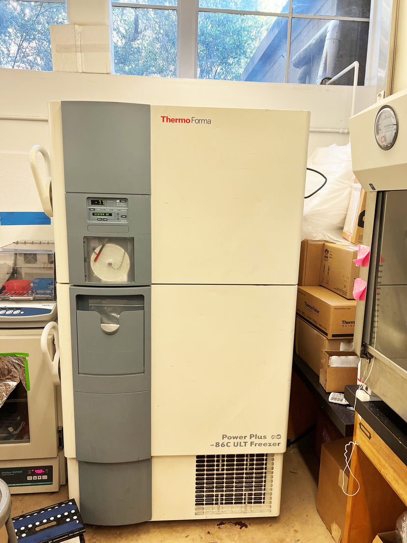ThermoForma Power Plus Freezer