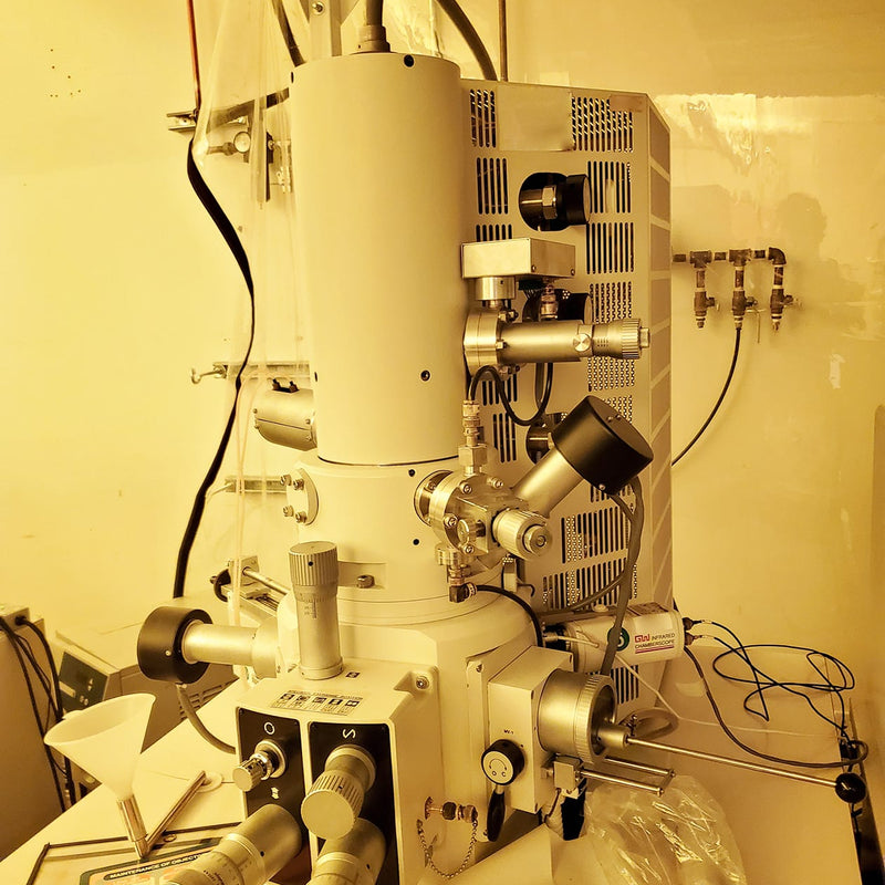Hitachi S 4500 FE-SEM (Field Emission Scanning Electron Microscope)