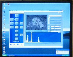 Oxford INCA x-act EDS (Energy Dispersive Spectroscopy)