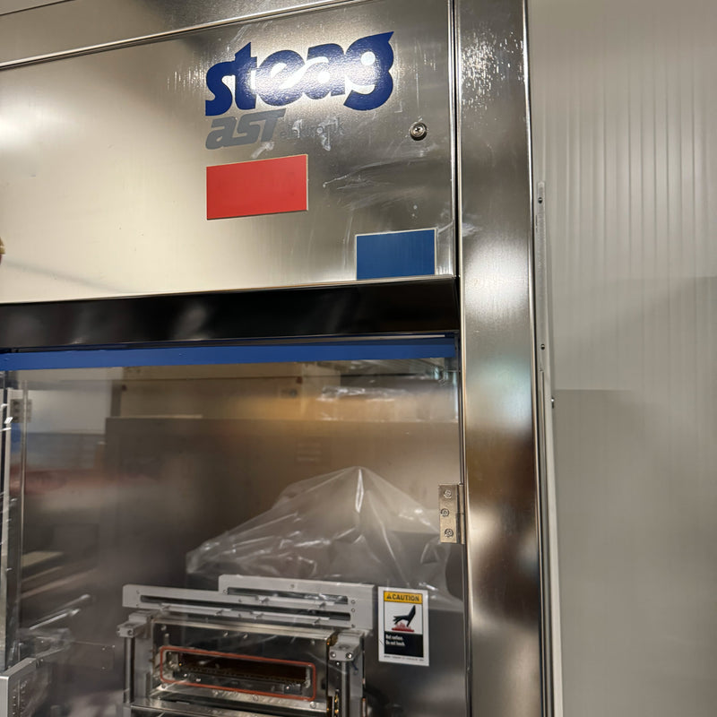 Mattson / Steag / AST 2800 RTP System (Rapid Thermal Process)