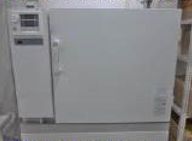 DF 410 Cure Oven