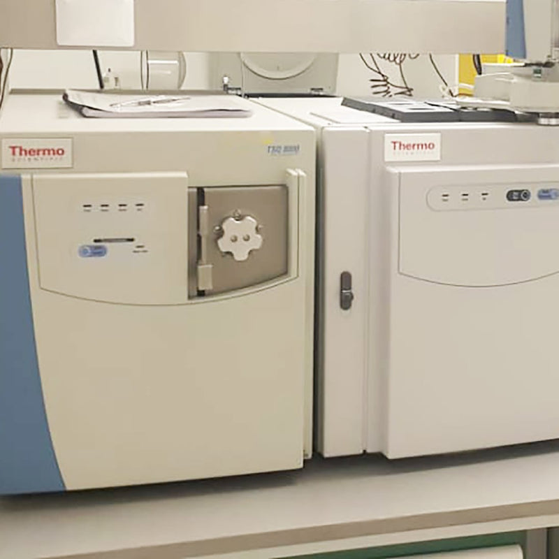 Thermo Scientific GC (Gas Chromatography)