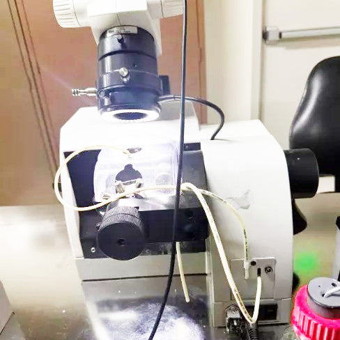 KLA / Leica EM TXP Cross Section Microscope