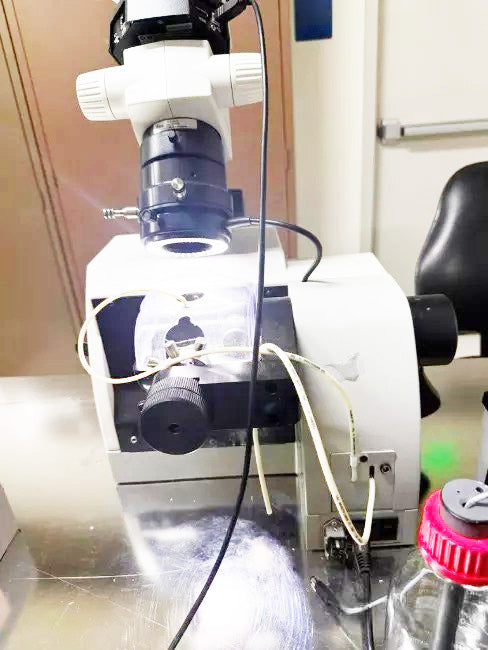 KLA / Leica EM TXP Cross Section Microscope