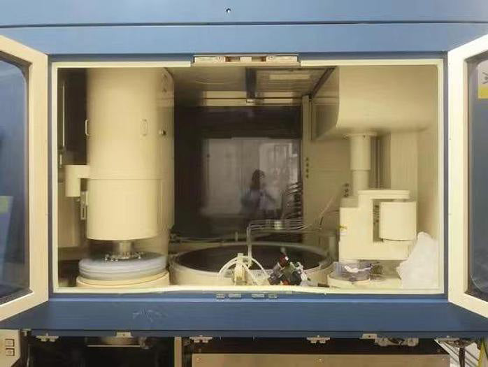 Ebara FREX 300 S Polisher