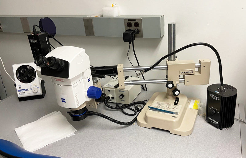 Zeiss Discovery V 8 Stereo