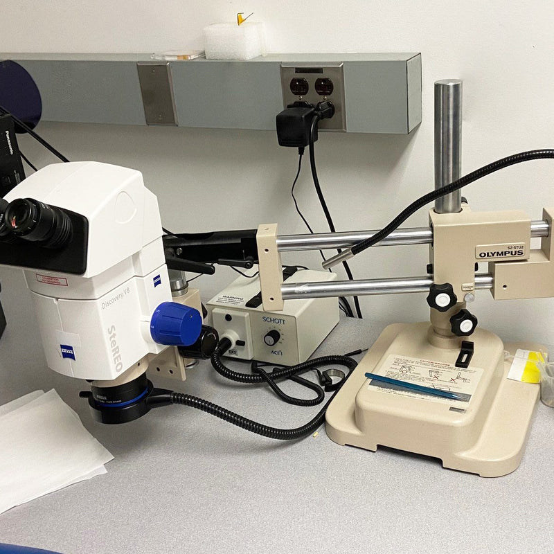 Zeiss Discovery V 8 Stereo