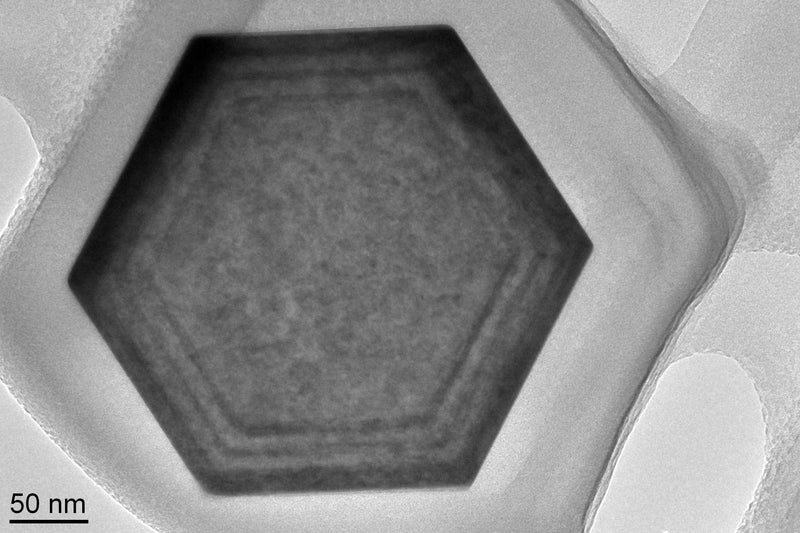 Jeol 2100 SEM (Scanning Electron Microscope)