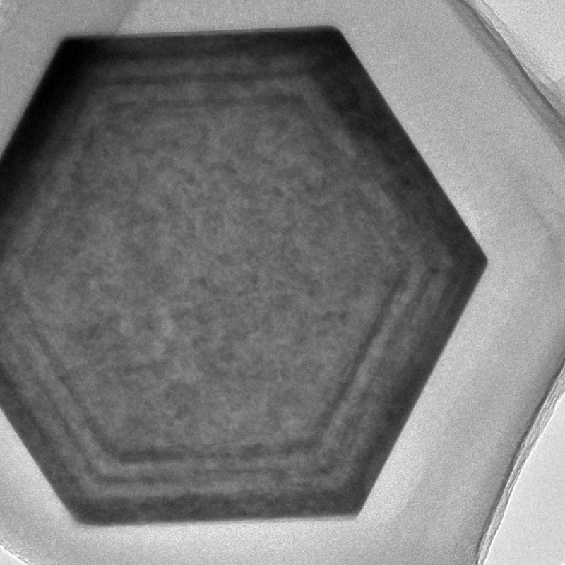 Jeol 2100 SEM (Scanning Electron Microscope)