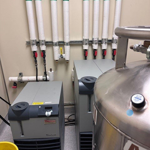 Thermo Fisher Scientific Neptune Plus MC-ICP-MS (Multi-Collector Inductively Coupled Plasma Mass Spectrometry)