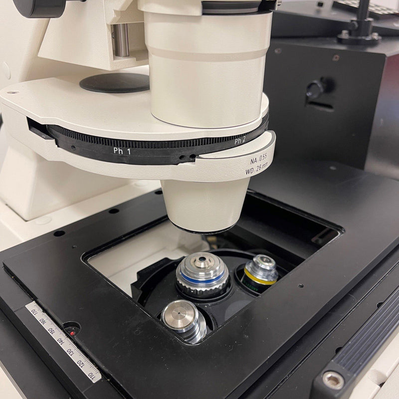Zeiss Axiovert 200 M Microscope