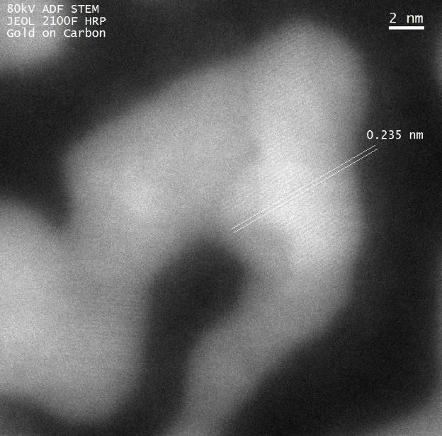 Jeol 2100 SEM (Scanning Electron Microscope)