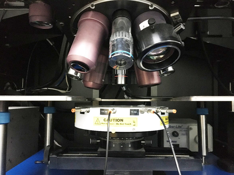 Quantum Focus Three Head System