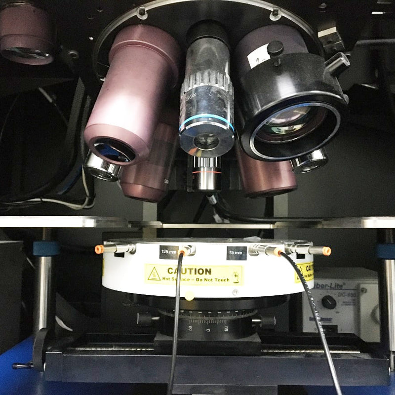 Quantum Focus Three Head System