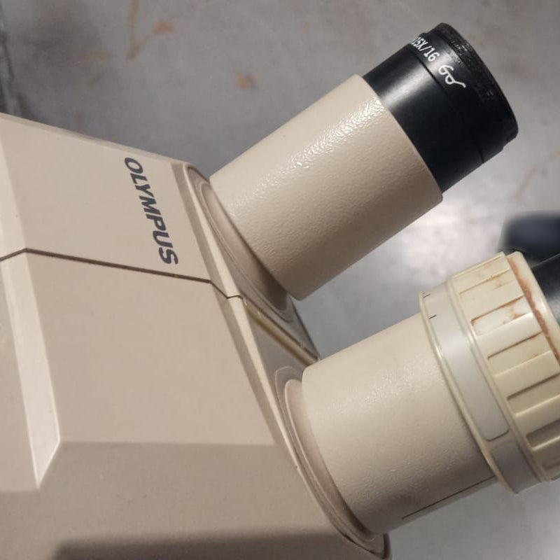 WestBond 7374 B Pick and Place Epoxy Die Bonder