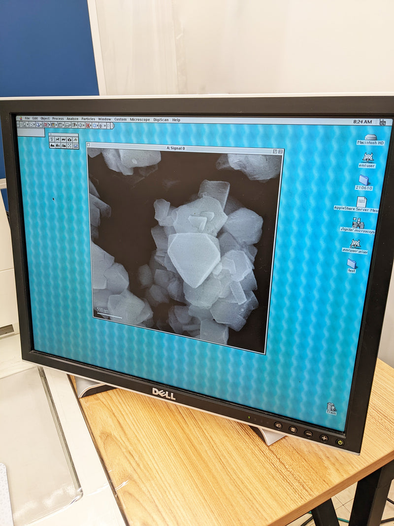 Hitachi S 5000 FE-SEM (Field Emission Scanning Electron Microscope)