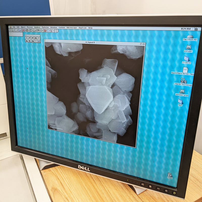 Hitachi S 5000 FE-SEM (Field Emission Scanning Electron Microscope)