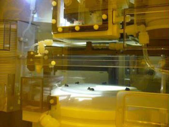 SCREEN / DNS SU 3100 Wafer Cleaner