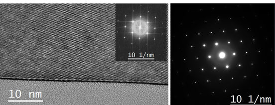 Jeol 2100 SEM (Scanning Electron Microscope)
