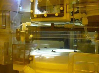 SCREEN / DNS SU 3100 Wafer Cleaner