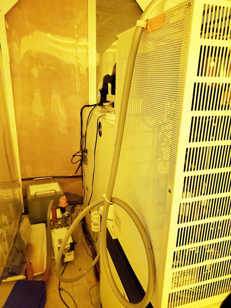 Hitachi S 4500 FE-SEM (Field Emission Scanning Electron Microscope)