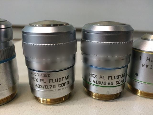 KLA / Leica TCS SP 5 CLSM (Confocal Laser Scanning Microscope)