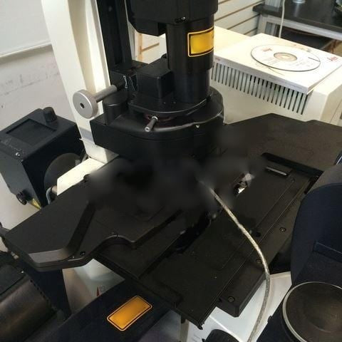 KLA / Leica TCS SP 5 CLSM (Confocal Laser Scanning Microscope)