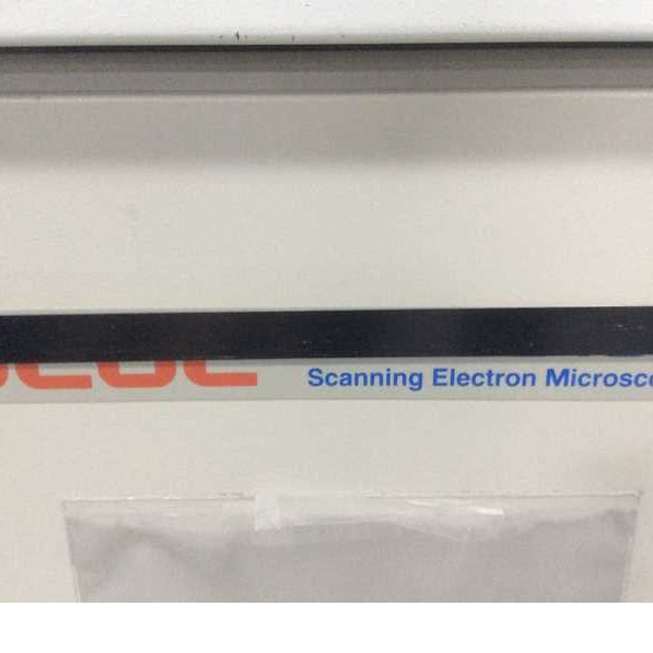 Jeol JSM 5610 LV SEM (Scanning Electron Microscope)