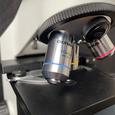 Olympus CX 21 Microscope