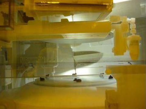 SCREEN / DNS SU 3100 Wafer Cleaner