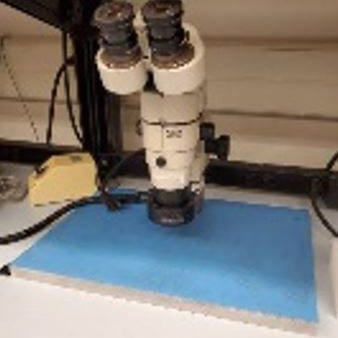 Nikon SMZ 10 A Microscope