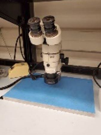Nikon SMZ 10 A Microscope