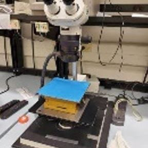 Wild Makroskop M 420 Microscope