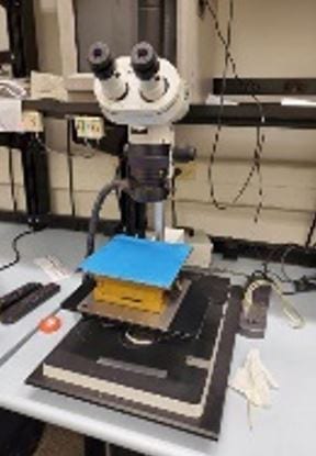 Wild Makroskop M 420 Microscope