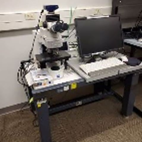 Zeiss Imager M 2 m Microscope
