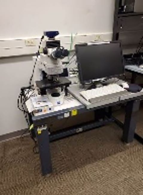 Zeiss Imager M 2 m Microscope