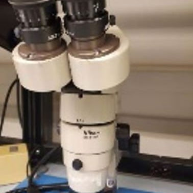Nikon SMZ 10 A Microscope