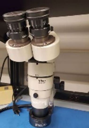 Nikon SMZ 10 A Microscope