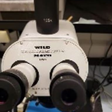 Wild Makroskop M 420 Microscope