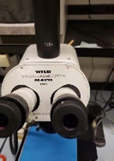 Wild Makroskop M 420 Microscope