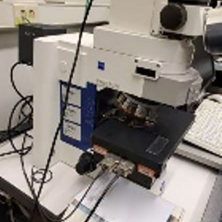 Zeiss Imager M 2 m Microscope