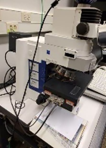 Zeiss Imager M 2 m Microscope