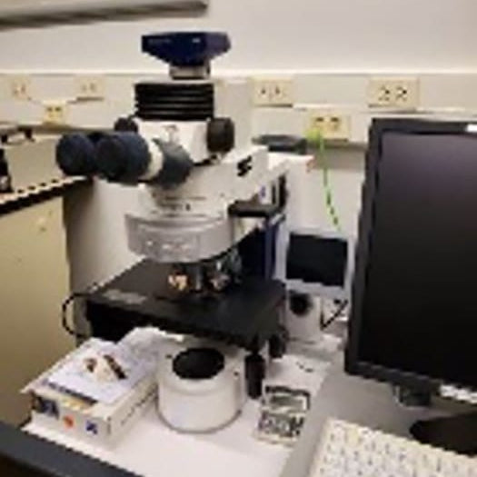 Zeiss Imager M 2 m Microscope