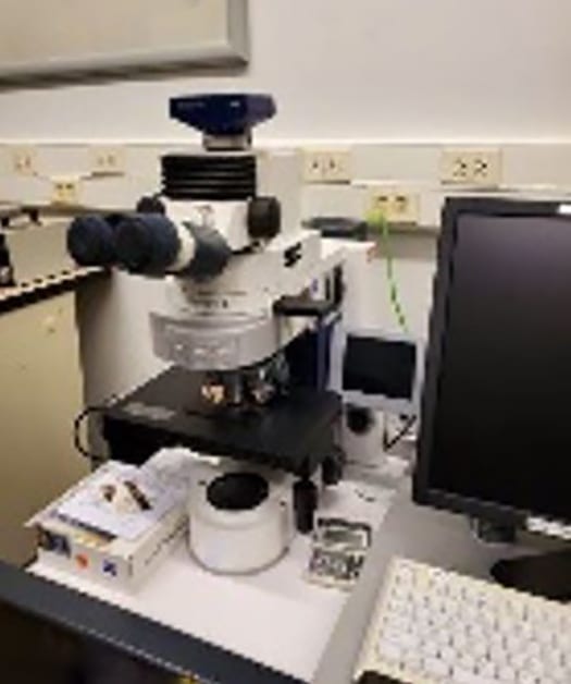 Zeiss Imager M 2 m Microscope